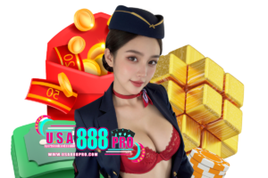 usa888pro แตกง่าย